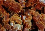 Large, Pristine, Red Vanadinite Crystals - Morocco #61109-2